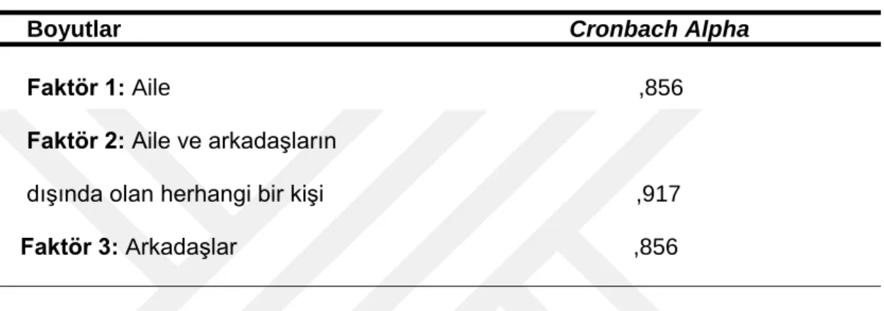 Tablo  6’da  ÇBASDÖ’nin  iç  güvenilirlik  düzeyi  (Cronbach  Alpha)  %83,3  olarak  bulunmuştur