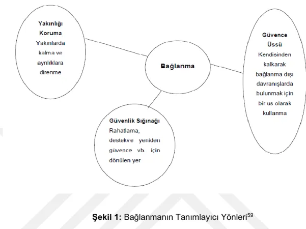 Şekil 1: Bağlanmanın Tanımlayıcı Yönleri 59