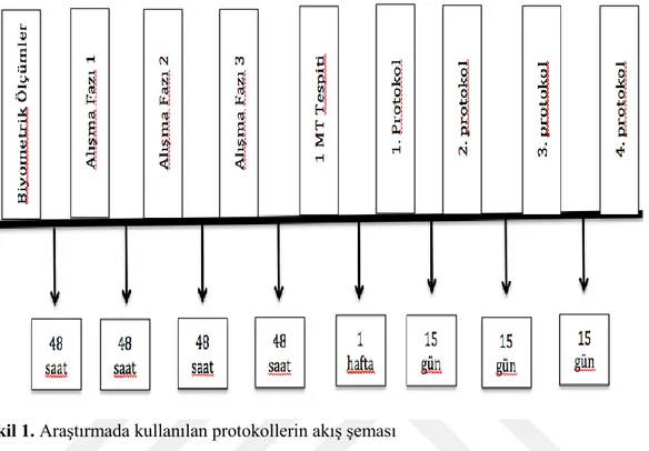 Şekil 1. Araştırmada kullanılan protokollerin akış şeması