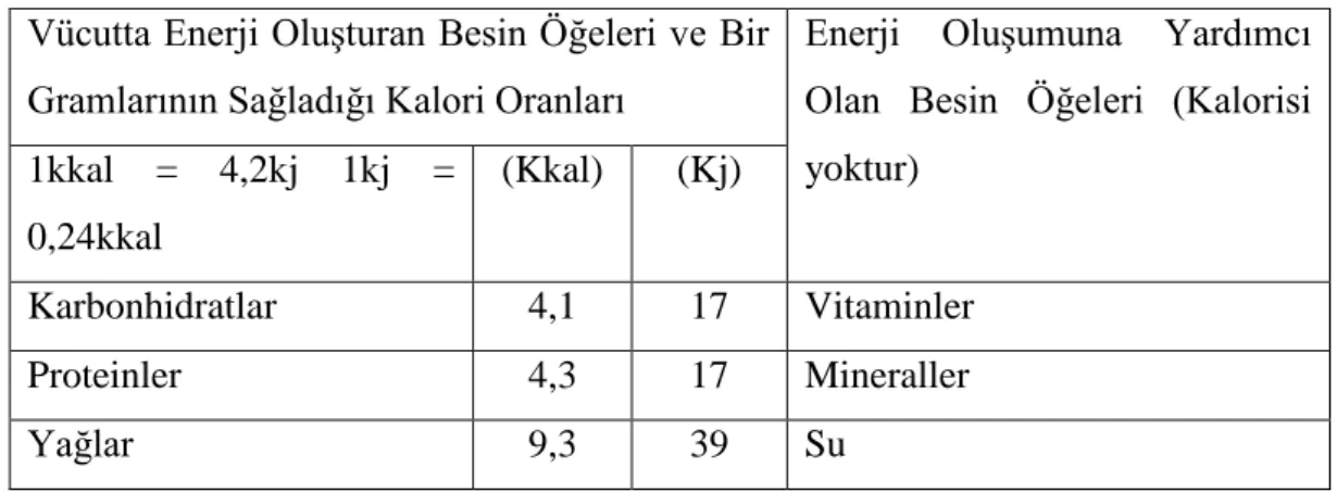 Tablo 2.1. Besin Öğeleri 
