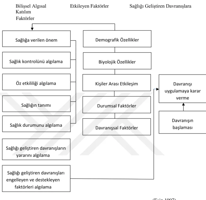 Şekil 2.2. Pender’in Sağlığı Geliştirme Modeli 