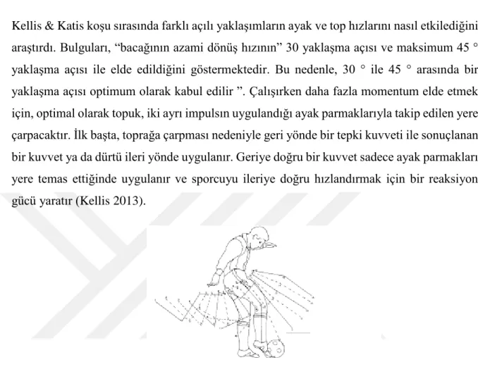 Şekil 2.7. Vuruş Biyomekaniği 