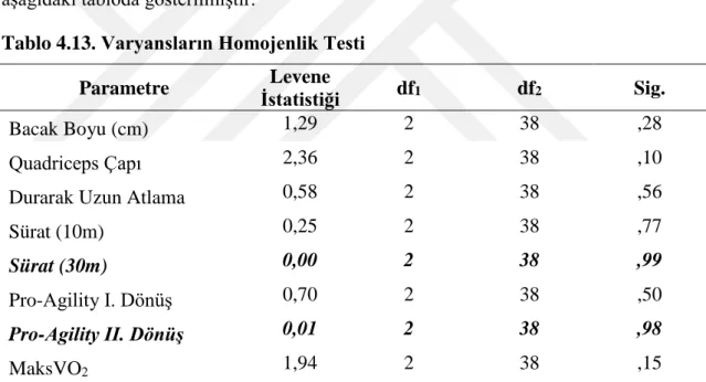 Tablo 4.13. Varyansların Homojenlik Testi 
