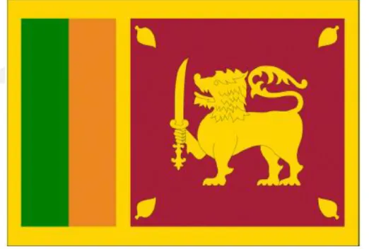 Şekil 3. Sri Lanka Devleti’nin Bayrağı 