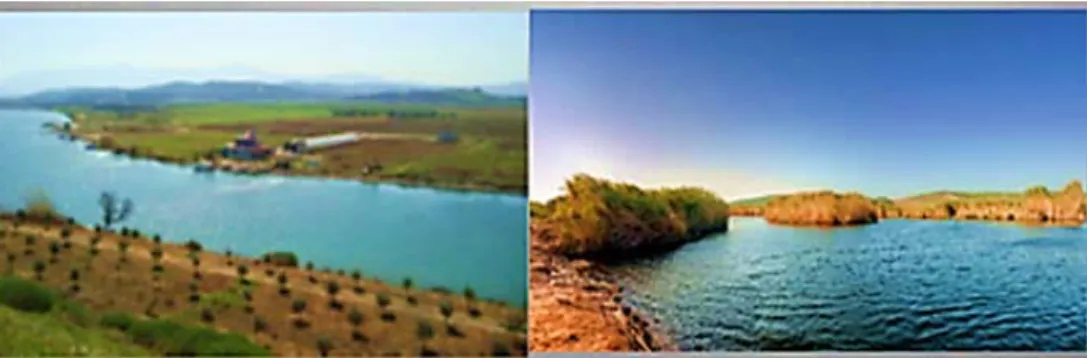 Şekil 1. Güzelhisar Deresi [5] 
