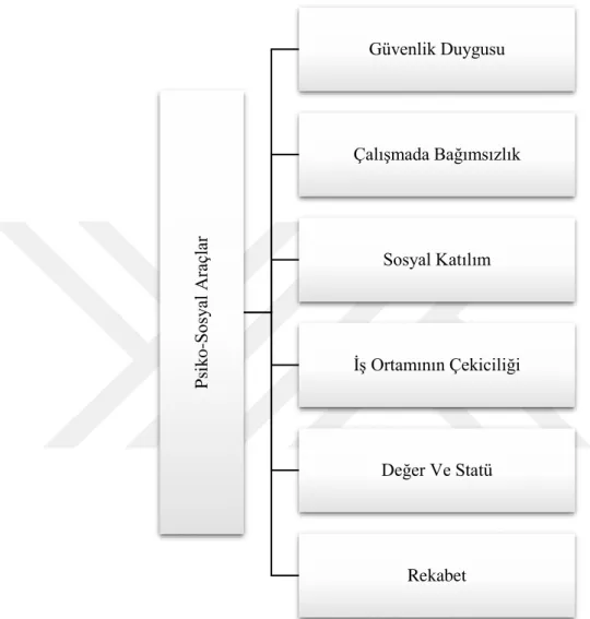 Şekil 2.2. Psiko-Sosyal Araçlar 59