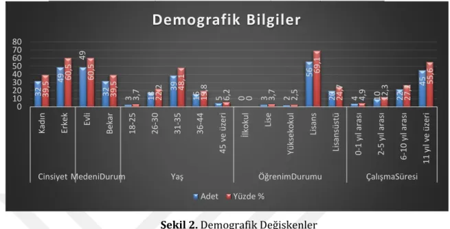 Şekil 2. Demografik Değişkenler 