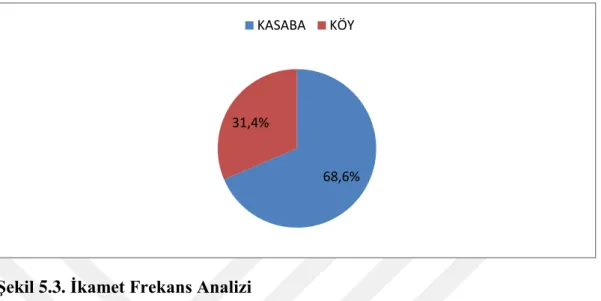 Şekil 5.3. İkamet Frekans Analizi 