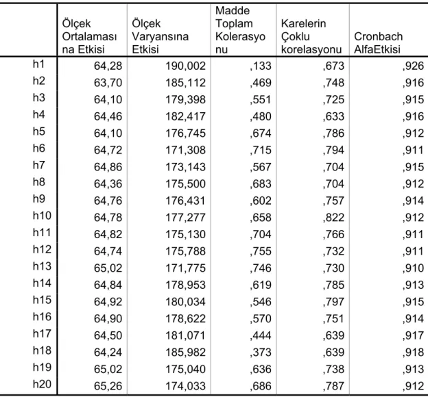 Tablo 6: Toplam Veri İstatistiği 