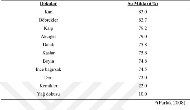 Tablo 2.7. Ġnsan Vücudundaki Doku ve Organların Su BirleĢimi 