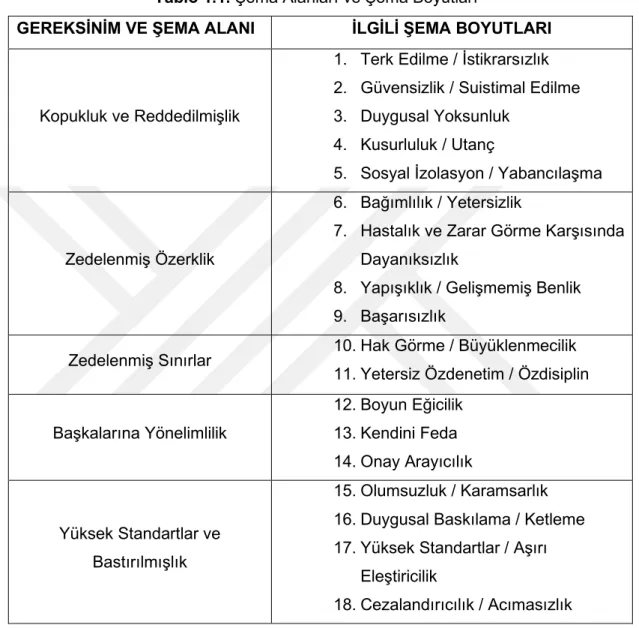 Tablo 1.1. Şema Alanları ve Şema Boyutları 