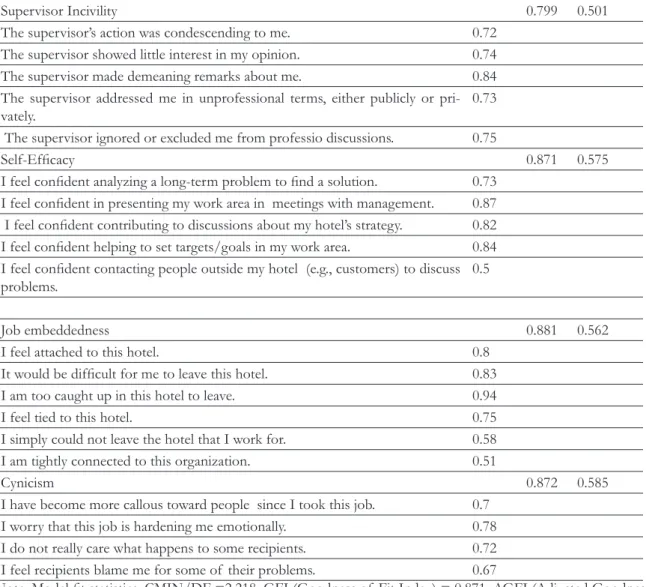 Table 2: Confirmatory Factor Analysis (CFA)