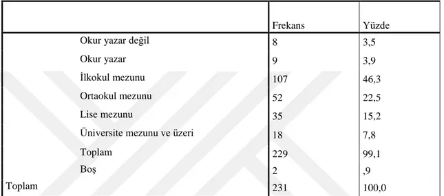 Tablo 4.11. Annenin Çalışma Durumu 