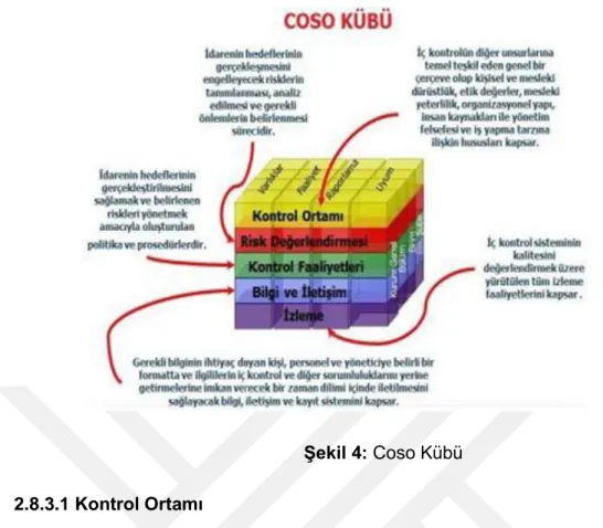 Şekil 4: Coso Kübü  2.8.3.1 Kontrol Ortamı  