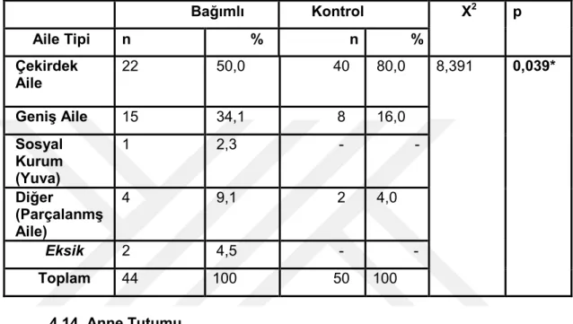 Tablo 13 Katılımcıların aile tipi dağılımı 