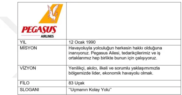 Tablo 4: Pegasus Firma Bilgileri 177