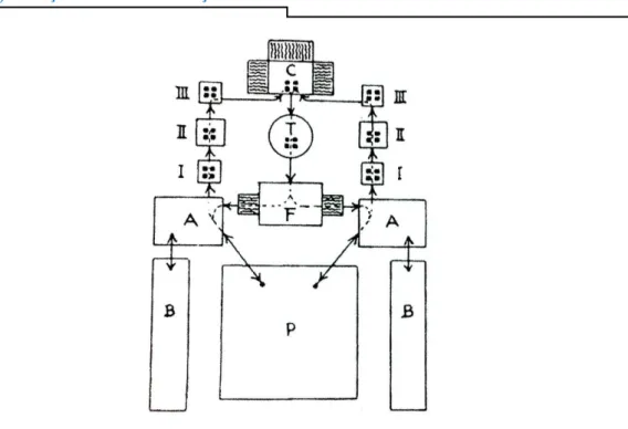 Şekil 8: Asimetrik Hamam Tipi “Pompei Tipi”                                                              