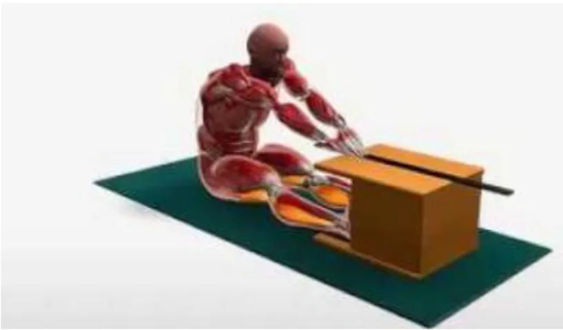 Şekil 2.1. Uzan Eriş (Sit and Reach) Esneklik Testi 