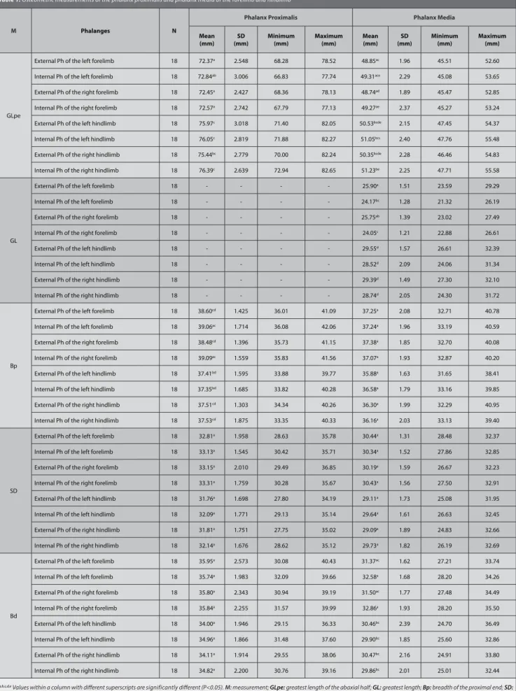 Table 1. Osteometric measurements of the phalanx proximalis and phalanx media of the forelimb and hindlimb