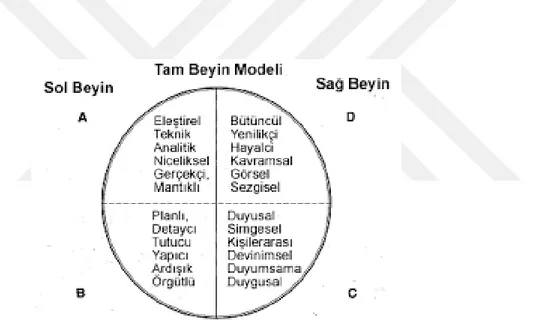 Şekil 3.1. Hermann’ın Beyin Hakimiyeti Modeli 