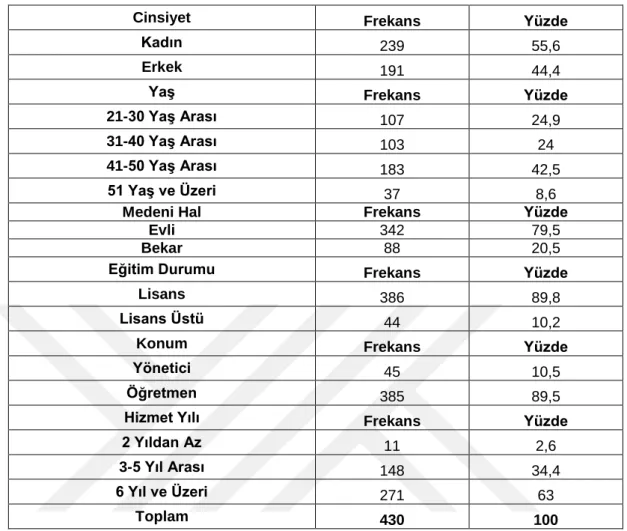 Tablo 3.13. Demografik  Dağılımlar 