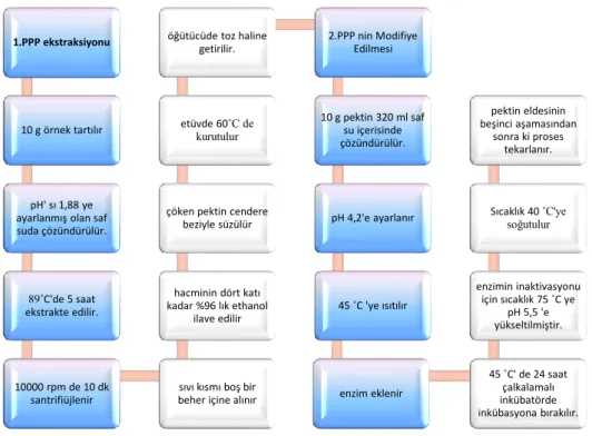 Figure 1. Flow chart indicating the steps for production OPP and OPMP 