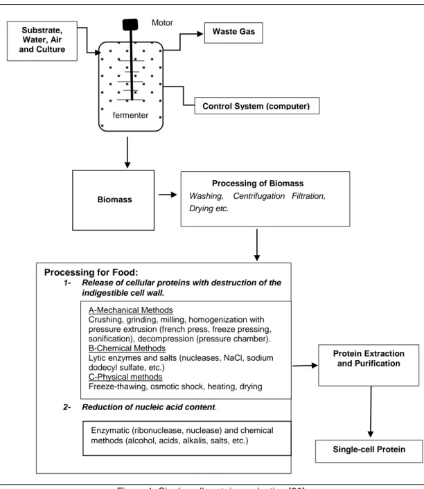 Figure 1. Single-cell protein production [20]  MICROBIAL OILS 