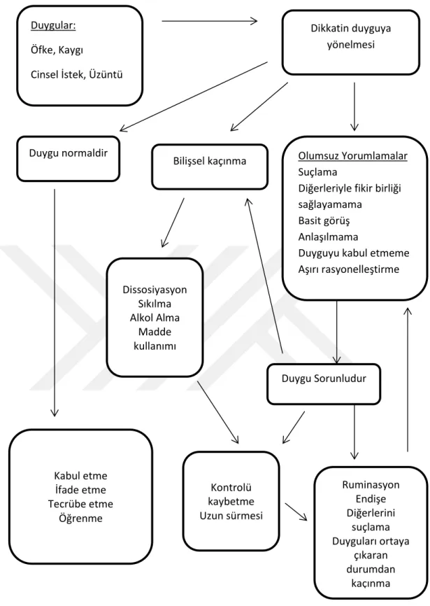 Şekil  5’te  gösterilen  duygusal  şema  modeli  duygu  ve  duygu  düzenlemenin  sosyal-bilişsel  bir  modelidir