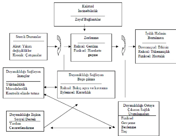 Şekil 2.2. Psikolojik Dayanıklılık Modeli 