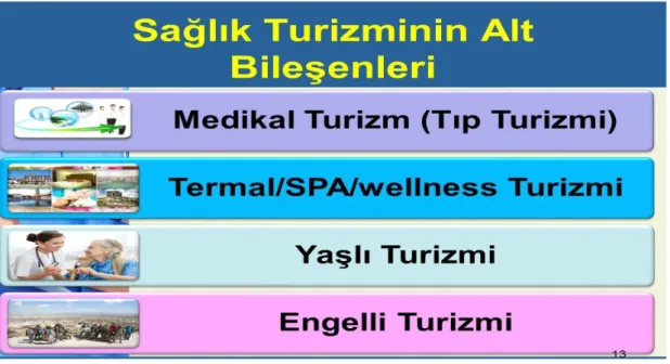 Şekil 1.1. Sağlık Turizmi Türevleri 