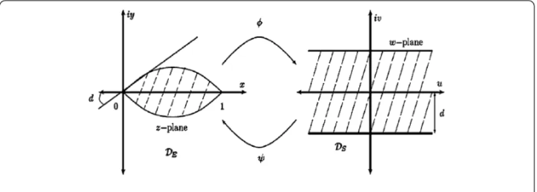 Figure 1 The domains D E and D S .