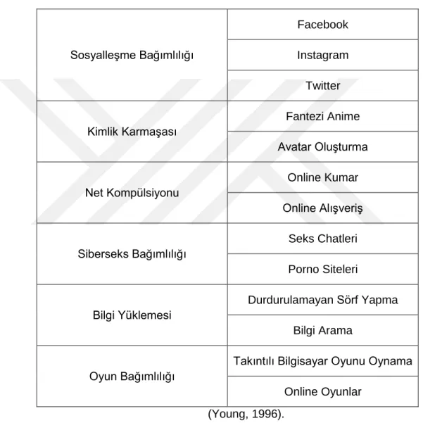 Tablo 3:  İnternet Bağımlılık Kategorileri 