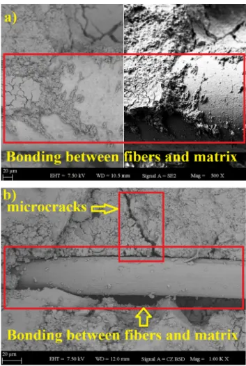 Fig. 2. SEM images for sample 7-W after 14 days.
