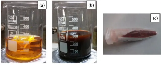 Figure  2  indicates both SEM and TEM micrographs of  the synthesized ɑ-Fe 2 O 3  nanoparticles