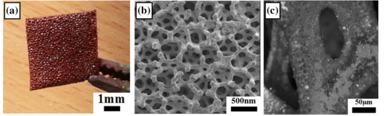 Fig. 5   Images of the coated filter using EPD process; macro images (a), secondary electron (b) and back-scattered electron (c) images of the 