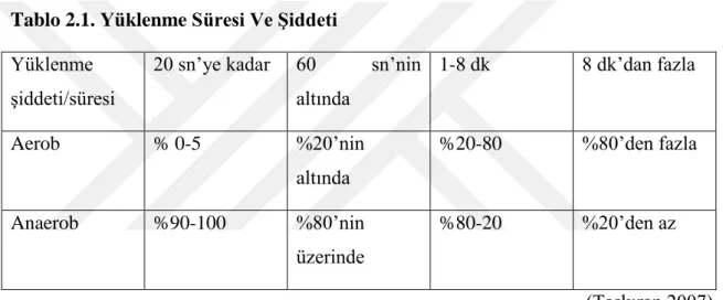 Tablo 2.1. Yüklenme Süresi Ve Şiddeti  
