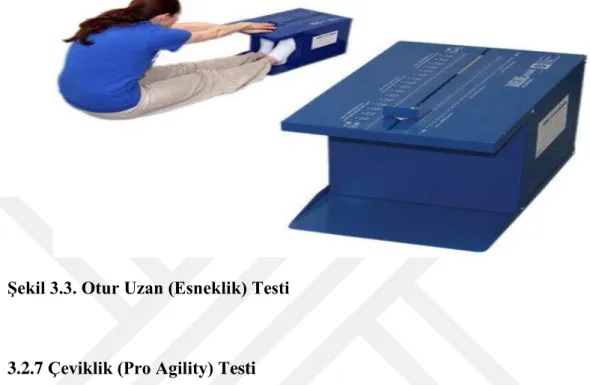 Şekil 3.3. Otur Uzan (Esneklik) Testi 