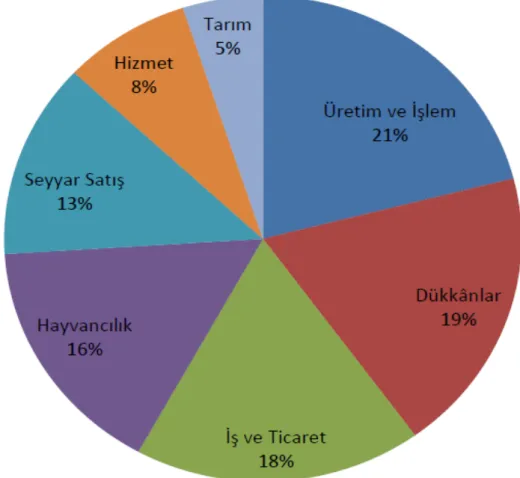 Grafik 1 - 31.12.2008 Tarihi İtibarıyla Diyarbakır’da Dağıtılan Mikrokredinin  Sektörel Dağılımı 
