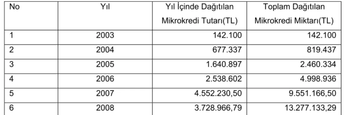 Tablo 5 - Diyarbakır’da Dağıtılan Mikrokredi Tutarları, 2003-2008 