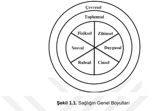 Şekil 1.1. Sağlığın Genel Boyutları 