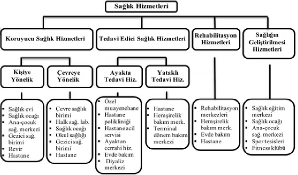 Şekil 1.3. Sağlık Hizmetlerinde Sınıflandırma  1.3.1. Koruyucu Sağlık Hizmetleri 