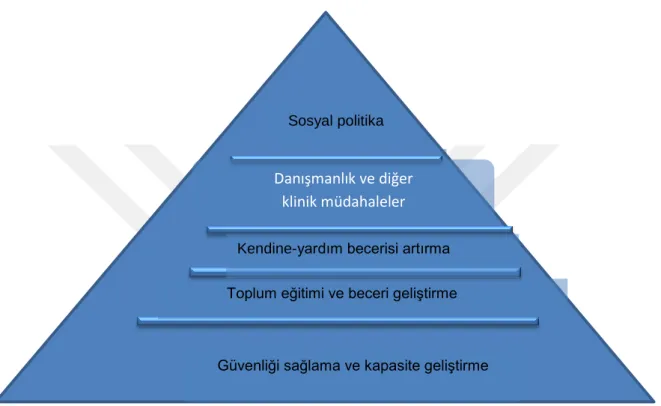 ġekil 1  Friedman‟ın (2005) Psikososyal Müdahale Piramiti . 