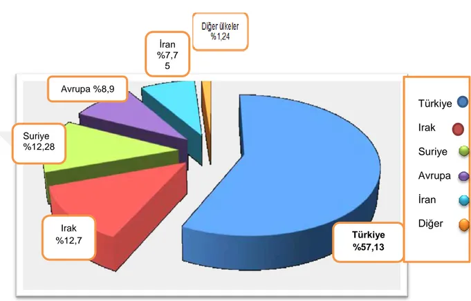 Grafik 2  PKK Örgütünün Teröre Katılım Sağladıkları Ülkelerde Dağılım Ġstatistikleri 