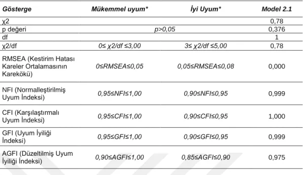 Tablo 15: Model2.1 Uyum İyiliği Değerleri  