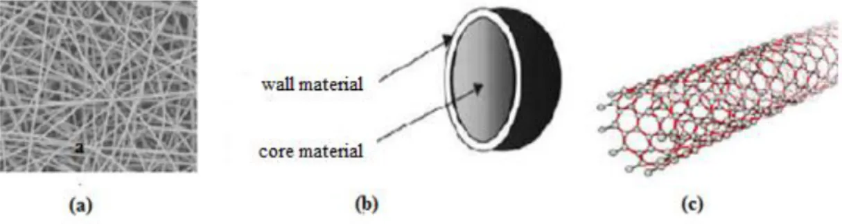 Figure 2.3 Classification of nanostructures: (a) nanofiber, (b) nanocapsules, (c)  nanotubes  