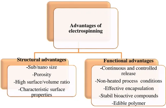 Figure 2.7 Advantages of electrospinning  Disadvantages 
