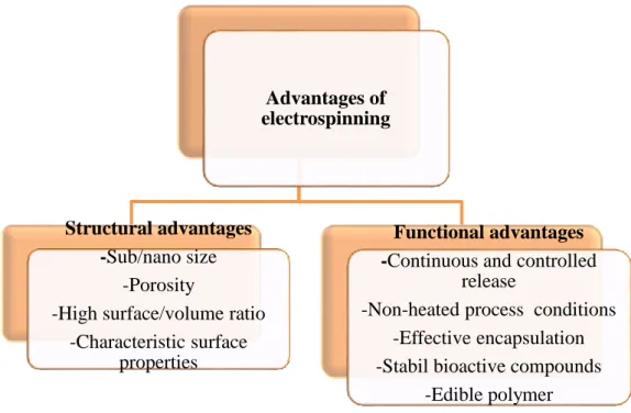 Figure 2.7 Advantages of electrospinning  Disadvantages 