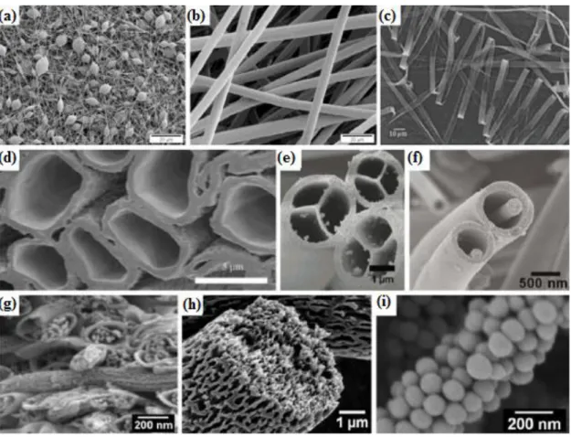 Figure 2.12 Different structures obtained by electrospinning; beaded (a), smooth (b),  ribbon (c), hollow (d), multichannel tubular (e), nanowire-in-microtube (f), multi-core 