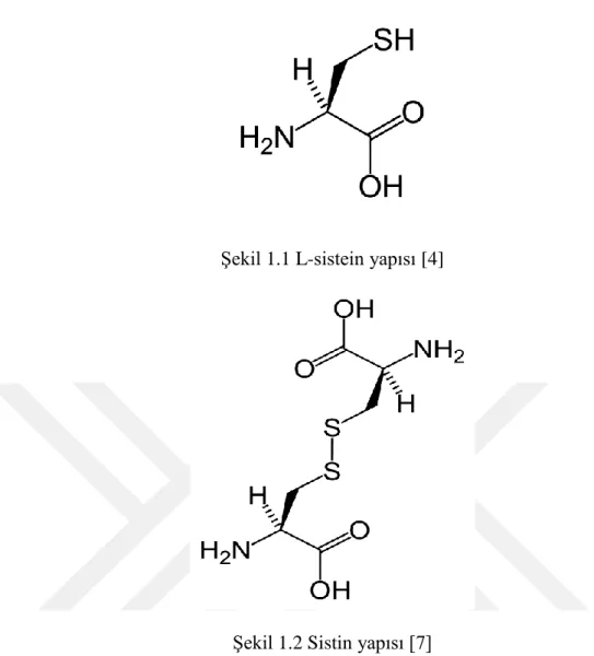 Şekil 1.1 L-sistein yapısı [4] 
