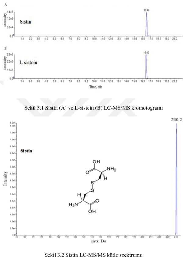 Şekil 3.1 Sistin (A) ve L-sistein (B) LC-MS/MS kromotogramı 